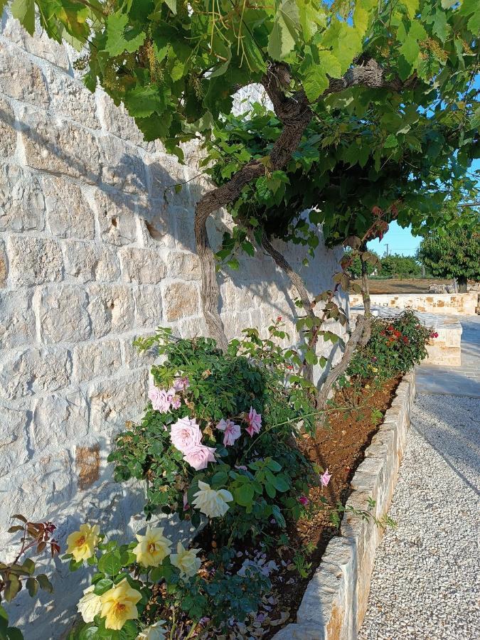 Demetra Trulli Experience Apartment Monopoli Exterior photo